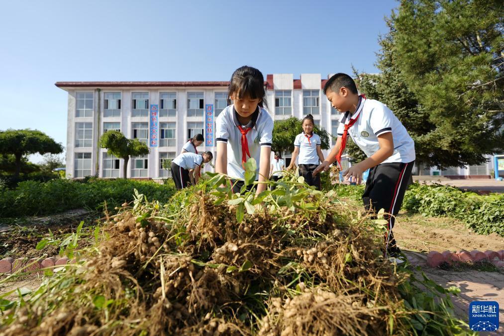深圳星辰娱乐
